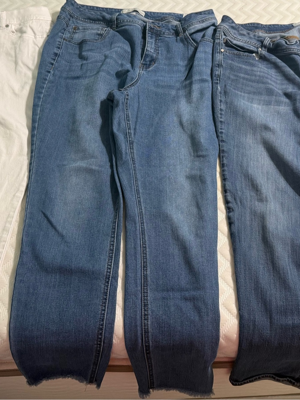 Cato Women's Straight Leg Jeans in Medium Blue